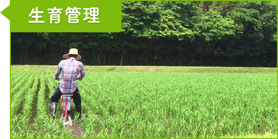 7月/8月：生育管理