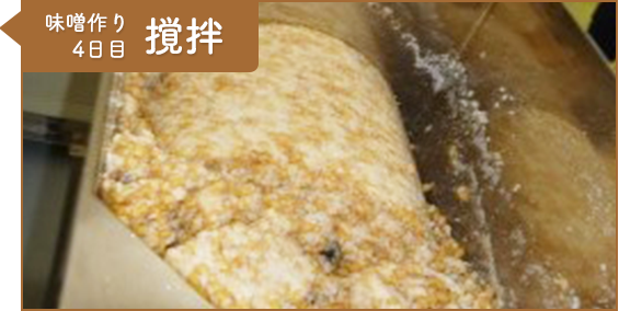 工程7：味噌作り4日目 撹拌
