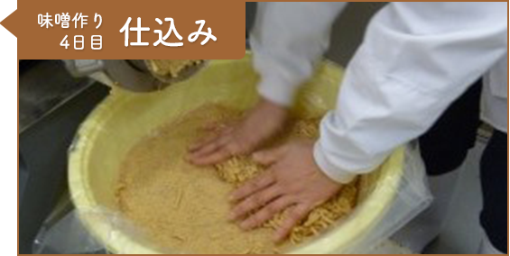 工程8：味噌作り4日目 仕込み