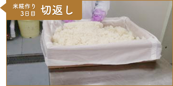 工程9：米糀作り3日目 切返し