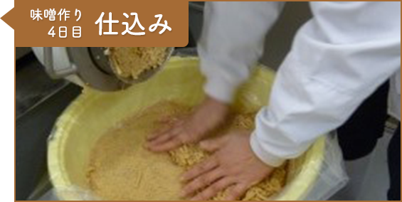 工程12：味噌作り4日目 仕込み