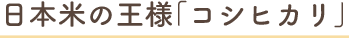 日本米の王様「コシヒカリ」