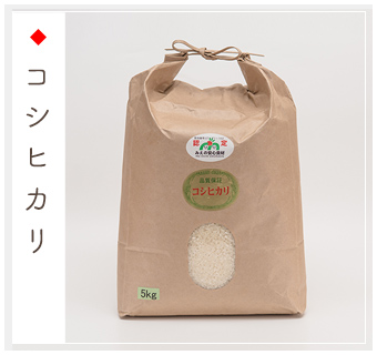 コシヒカリ