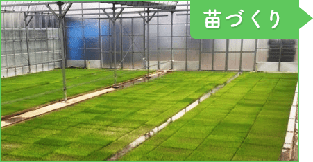 3月/4月：苗づくり
