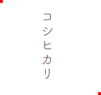 コシヒカリ