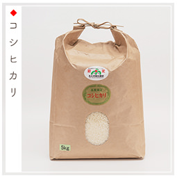 コシヒカリ