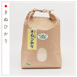 きぬひかり